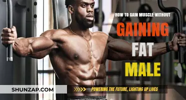 Effective Muscle Building Strategies for Men: Lean Gains, No Fat