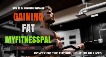 Effective Muscle Building Strategies to Avoid Fat Gain with MyFitnessPal