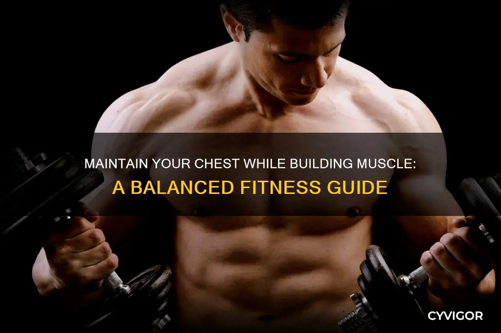 how to gain muscle without loosing tits
