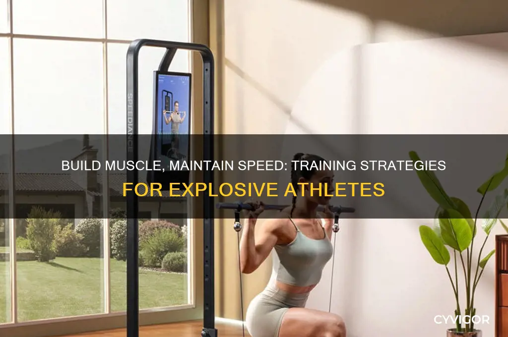 how to gain muscle without losing speed