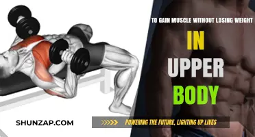 Build Upper Body Muscle Without Losing Weight: Effective Strategies