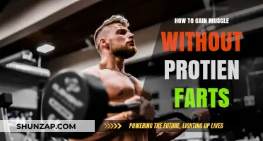 Build Muscle Without Protein Farts: Smart Strategies for Success