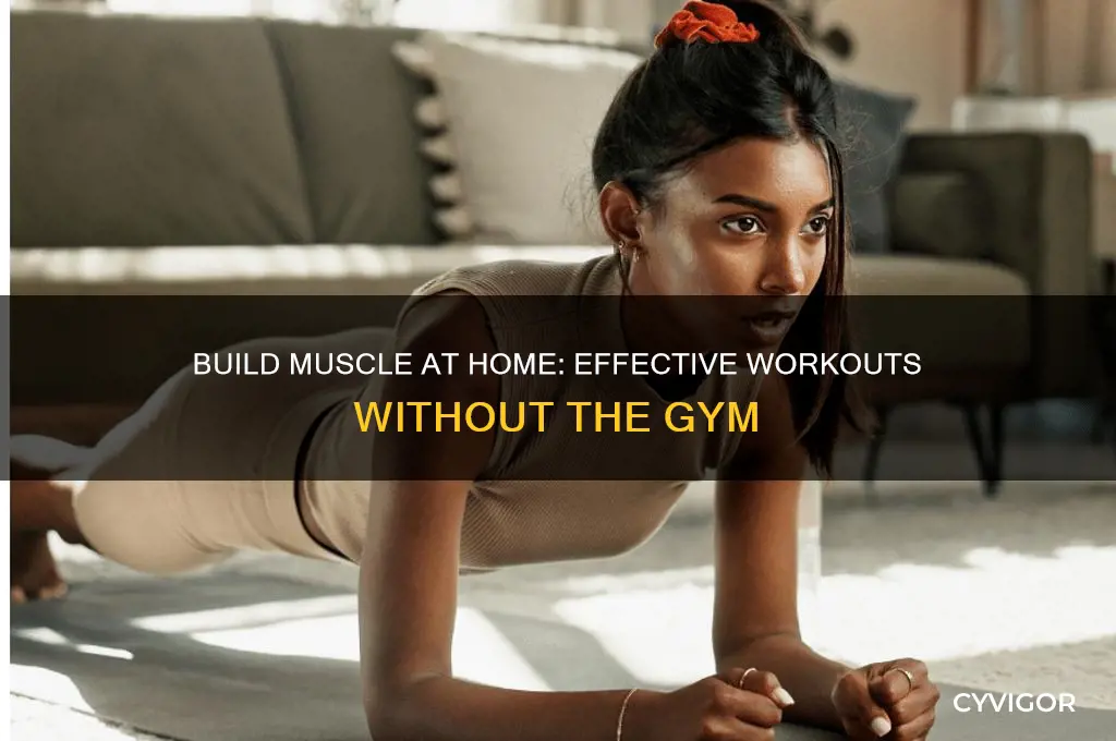 how to gain muscle working out at home