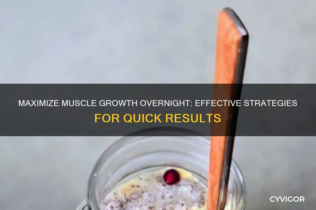how to gain muscle working overnight