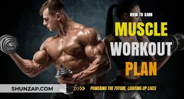Effective Muscle-Building Workout Plan for Strength and Size Gains