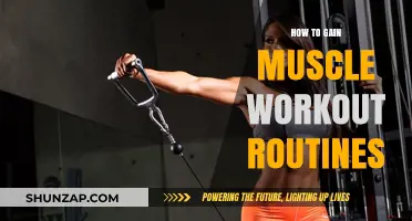 Effective Muscle-Building Workout Routines for Strength and Size Gains
