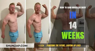 Transform Your Physique: 14-Week Muscle-Building Plan for Results