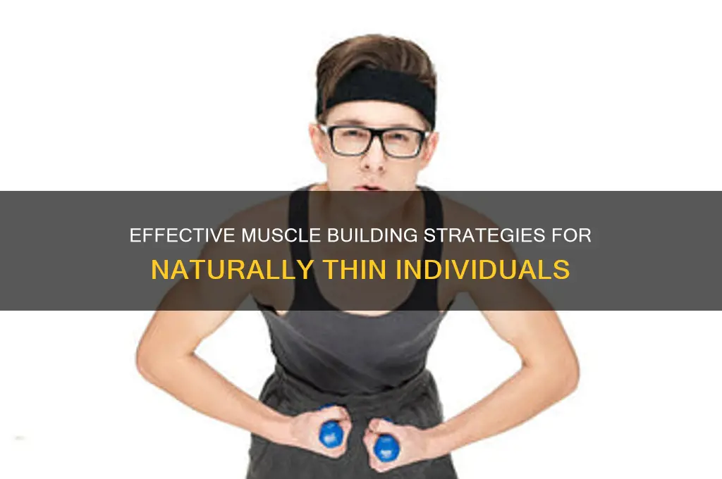 how to gain muscles for thin body