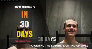 Effective 30-Day Muscle Building Plan for Quick Results