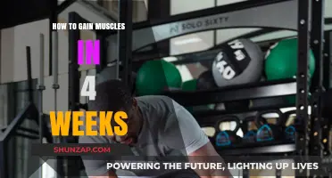 Effective 4-Week Muscle Building Plan for Quick Results