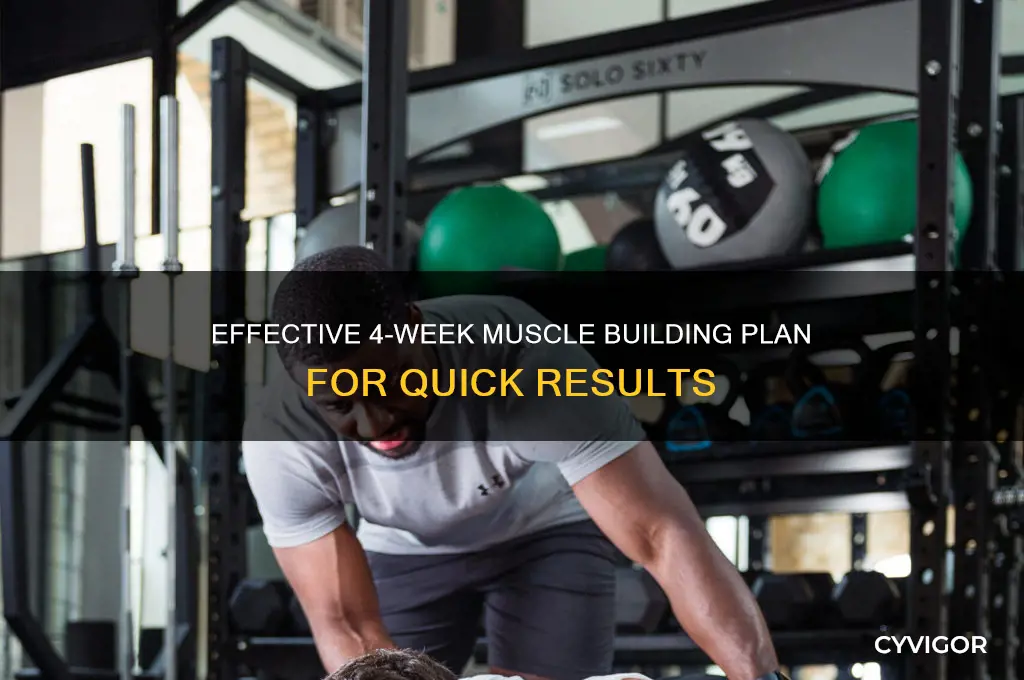 how to gain muscles in 4 weeks