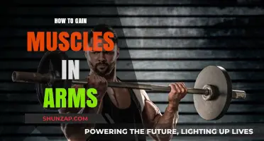 Effective Arm Muscle Building: Tips for Stronger, Bigger Arms Fast
