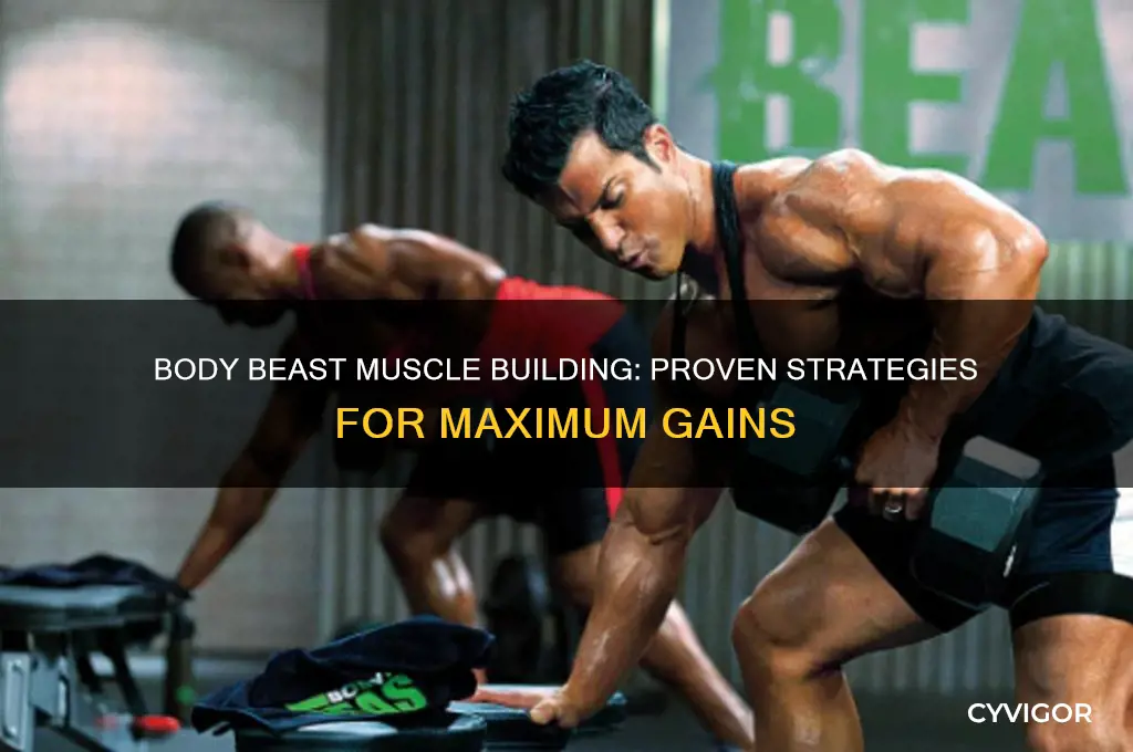 how to gain muscles in body beast