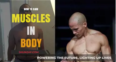 Effective Strategies for Building Muscle Mass and Strength Naturally