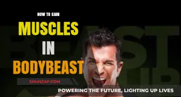 Master BodyBeast: Proven Strategies to Build Muscle Effectively