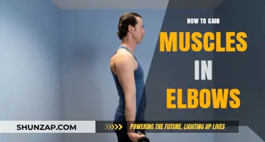 Effective Elbow Muscle Building: Tips for Strength and Definition