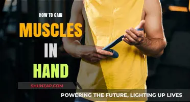 Effective Hand Muscle Building Techniques for Stronger Grip and Dexterity