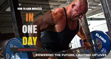 Quick Muscle Gain Secrets: One-Day Transformation Tips Revealed
