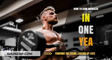 Effective Strategies for Building Significant Muscle Mass in One Year
