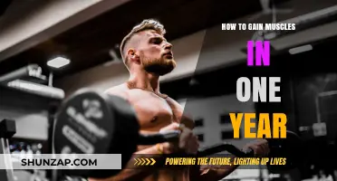 Effective Strategies for Building Muscle Mass in One Year