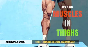 Effective Thigh Muscle Building: Tips for Stronger, Toned Legs