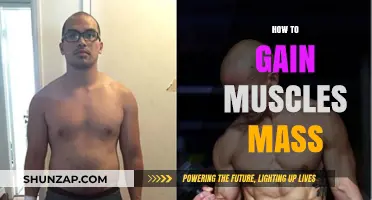 Effective Strategies for Building Muscle Mass and Strength Fast