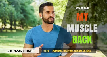 Regain Lost Muscle: Proven Strategies for Rebuilding Strength and Size