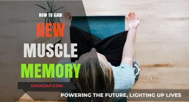 Mastering Muscle Memory: Proven Techniques to Build Lasting Strength