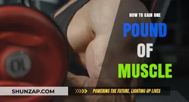 Effective Strategies to Build One Pound of Muscle Mass
