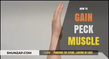 Effective Strategies to Build Stronger, Defined Pectoral Muscles Fast
