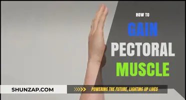 Effective Strategies to Build Stronger, Bigger Pectoral Muscles Fast