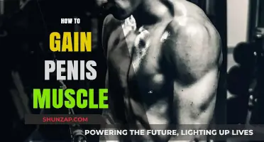 Effective Techniques to Strengthen and Tone Your Penile Muscles