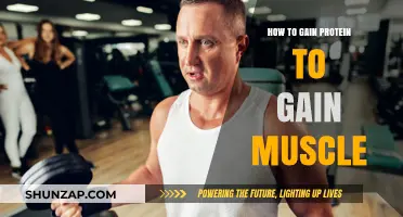 Maximize Muscle Growth: Effective Protein Strategies for Strength and Size