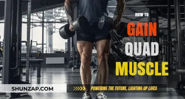 Effective Quad Building: Proven Strategies for Stronger, Bigger Leg Muscles