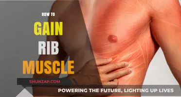 Effective Strategies to Build and Strengthen Your Rib Muscles Fast