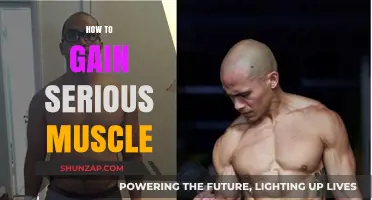 Proven Strategies to Build Serious Muscle Mass Effectively