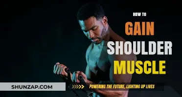 Effective Shoulder Muscle Building: Tips and Exercises for Strength and Size