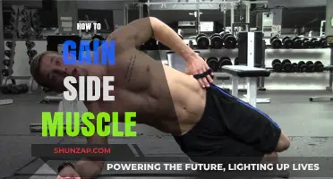 Sculpt Stronger Side Muscles: Effective Workouts and Tips for Definition