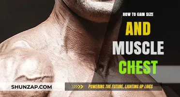 Effective Chest Muscle Building: Tips for Size and Strength Gains