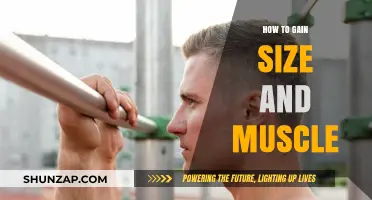Effective Strategies for Building Muscle Size and Strength Fast