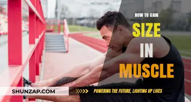 Maximize Muscle Growth: Proven Strategies for Size and Strength