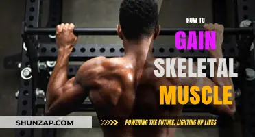 Effective Strategies for Building Skeletal Muscle Mass and Strength