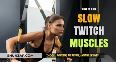 Building Endurance: Effective Strategies to Develop Slow Twitch Muscles