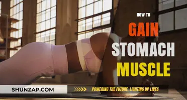 Effective Strategies for Building a Strong, Defined Stomach Muscle
