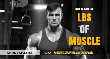 Effective Strategies to Build Ten Pounds of Muscle Mass Fast
