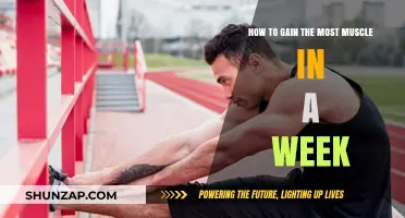 Maximize Muscle Growth: Proven Weekly Strategies for Rapid Results