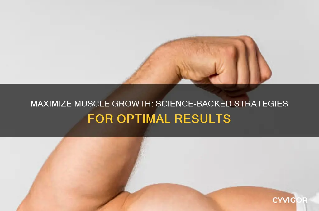 how to gain the most muscle scientificly