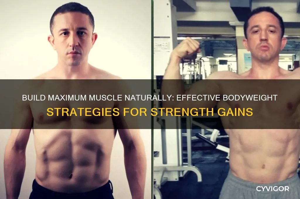 how to gain the most muscle without weights or supplements