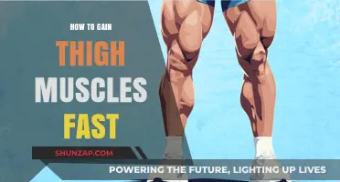 Effective Strategies for Building Thigh Muscles Quickly and Safely