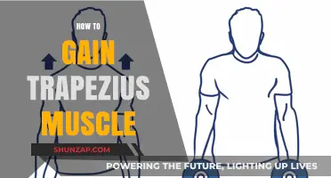 Effective Trapezius Muscle Building: Exercises, Techniques, and Tips for Growth
